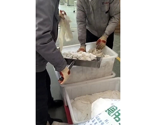 老客戶二次合作真空滾揉機(jī)系列肉制品設(shè)備絞肉機(jī)拌餡機(jī)擠出機(jī)(圖2)